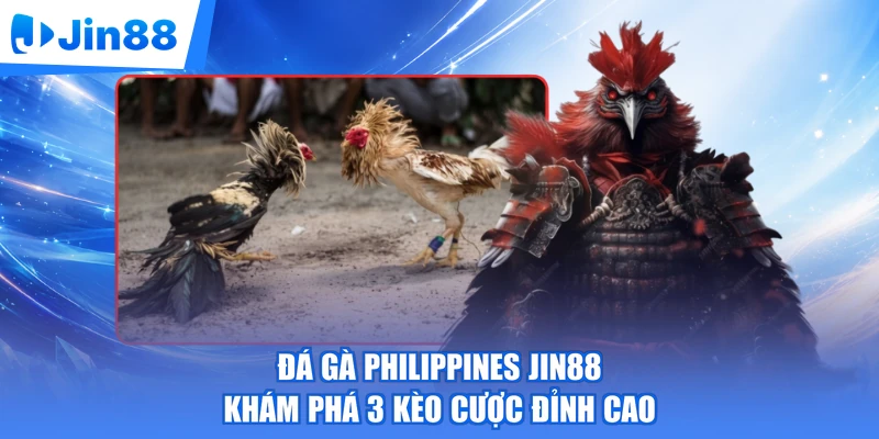 Đá Gà Philippines Jin88 | Khám Phá 3 Kèo Cược Đỉnh Cao