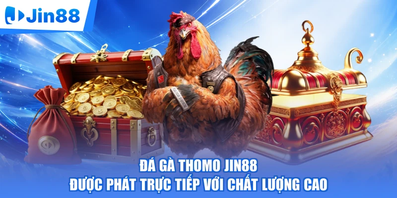 Đá gà Thomo Jin88 được phát trực tiếp với chất lượng cao