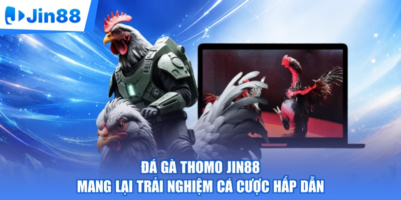 Đá gà Thomo Jin88 mang lại trải nghiệm cá cược hấp dẫn