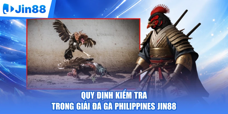 Quy định kiểm tra trong giải đá gà Philippines Jin88