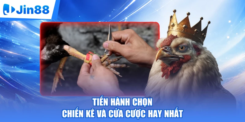 Tiến hành chọn chiến kê và cửa cược hay nhất