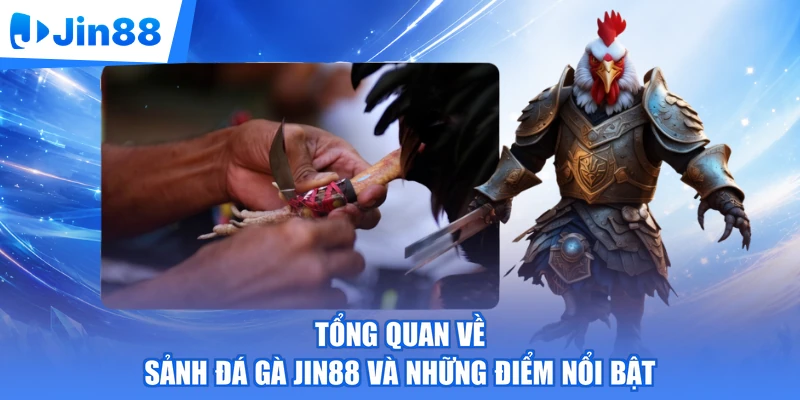 Tổng quan về sảnh đá gà Jin88 và những điểm nổi bật