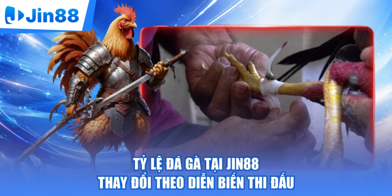 Tỷ lệ đá gà tại Jin88 thay đổi theo diễn biến thi đấu